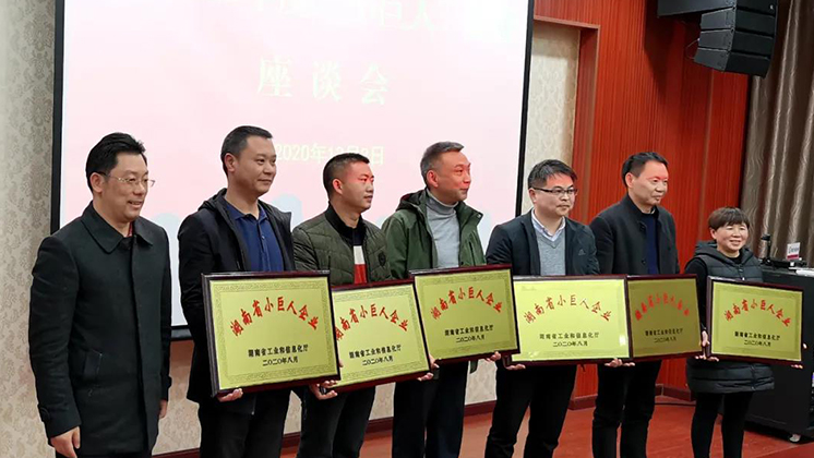 喜大普奔！炬神電子被評為湖南省“小巨人”企業(yè)